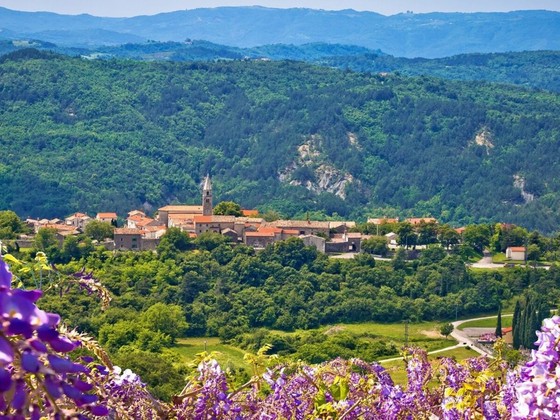 Roč